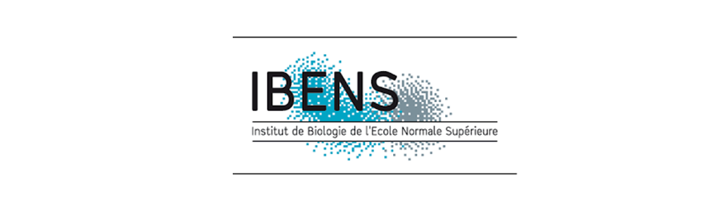 Logo IBENS
